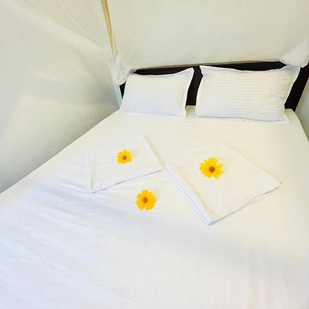White Hill House Hiriketiya Otel Dikwella Dış mekan fotoğraf
