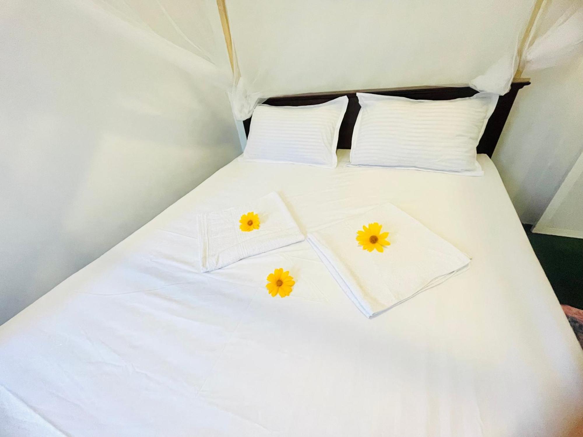 White Hill House Hiriketiya Otel Dikwella Dış mekan fotoğraf