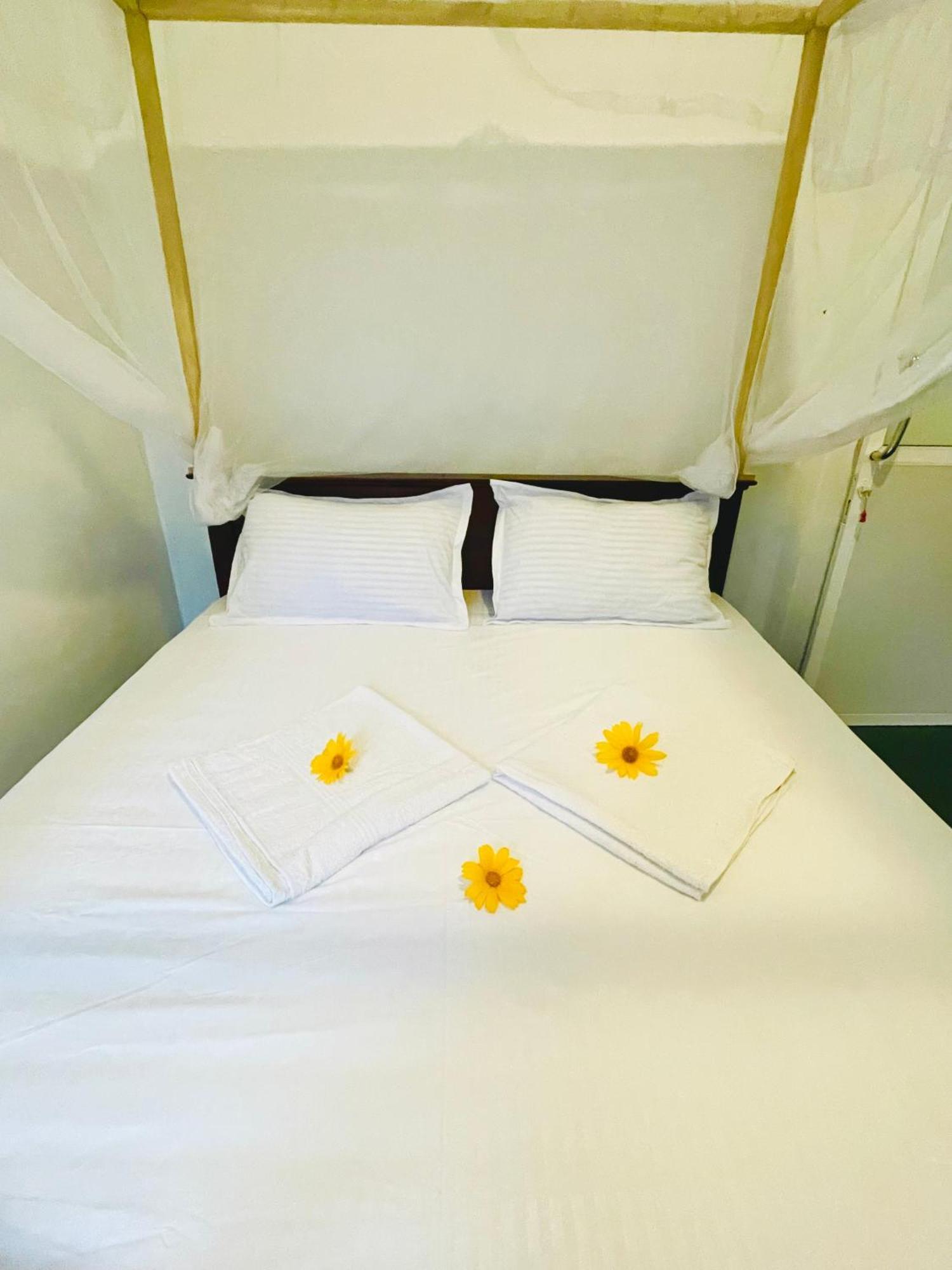 White Hill House Hiriketiya Otel Dikwella Dış mekan fotoğraf
